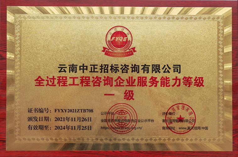 招投标代理服务 专业中介机构的角色与实践